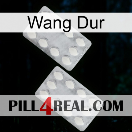 Hard Wang 17